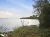 116 Apex Point Road, White Beach, Tas 7184-Image