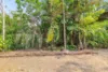 116 Bastin Road, Howard Springs, NT 0835-Image