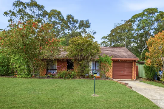 116 Donalbain Circuit, Rosemeadow, NSW 2560