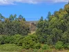 116 George Street, Gledhow, WA 6330-Image