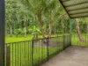 116 Hickory Road, Cow Bay, Daintree, Qld 4873