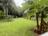 116 Hickory Road, Cow Bay, Daintree, Qld 4873-Image