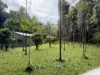 116 Hickory Road, Cow Bay, Daintree, Qld 4873-Image