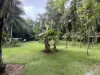 116 Hickory Road, Cow Bay, Daintree, Qld 4873-Image