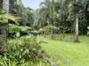 116 Hickory Road, Cow Bay, Daintree, Qld 4873-Image
