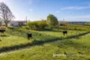 116 Main Road, Meander, Tas 7304-Image