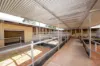 116 Matheson Road, Ascot, WA 6104-Image