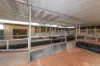 116 Matheson Road, Ascot, WA 6104-Image