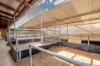 116 Matheson Road, Ascot, WA 6104-Image