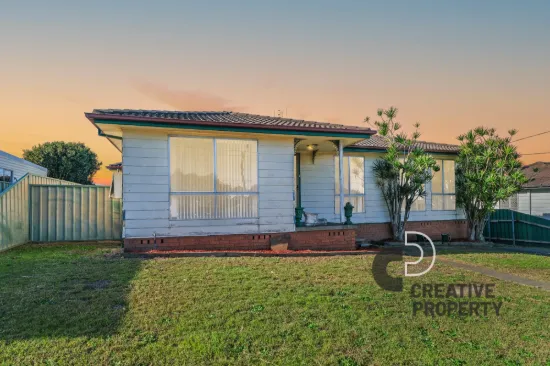116 Minmi Road, Wallsend, NSW 2287