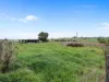 116 Moreys Road, Barrington, Tas 7306-Image