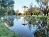 116 Mount Gambier Road, Casterton, Vic 3311-Image