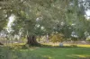 116 Palmerston Street, Perth, WA 6000-Image