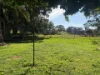 1165 Mcgledes Hill Road, Eurongilly NSW 2663-Image