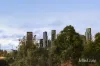 117 Abbotsford Street, West Melbourne, Vic 3003-Image