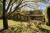 117 Craigend Street, Leura, NSW 2780-Image