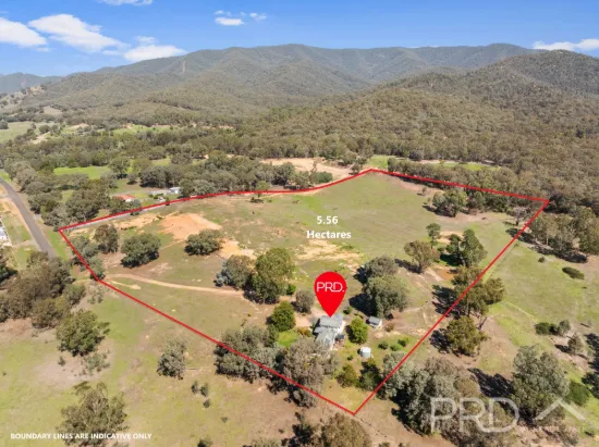 117 Currawong Road, Tumut, NSW 2720