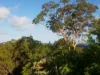117 Donnelly Road, Arcadia Vale NSW 2283-Image