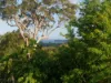 117 Donnelly Road, Arcadia Vale NSW 2283-Image