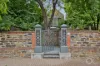 117 East Terrace, Adelaide, SA 5000-Image