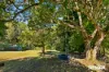 117 Image Flat, Image Flat, Qld 4560-Image