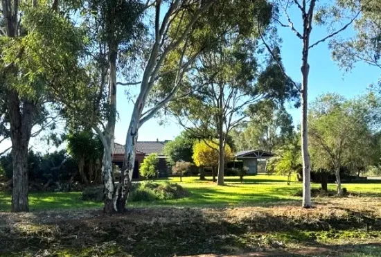 117  Kelsh Road, Echuca, Vic 3564