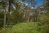 117 Peet Rd, Roleystone, WA 6111-Image