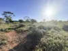 117 Schlapp Street, Broken Hill, NSW 2880-Image