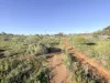 117 Schlapp Street, Broken Hill, NSW 2880-Image
