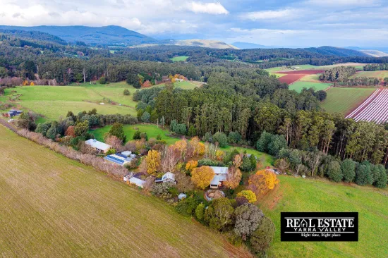 117 Spraggs Road, Toolangi, Vic 3777