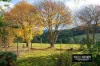 117 Spraggs Road, Toolangi, Vic 3777-Image