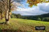 117 Spraggs Road, Toolangi, Vic 3777-Image