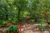 117 Virginia Road, Virginia, NT 0834-Image
