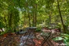117 Virginia Road, Virginia, NT 0834-Image