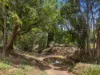 1174 Pomona Kin Kin Road, Kin Kin, Qld 4571-Image