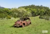 1174 Tyalgum Road, Eungella, NSW 2484-Image