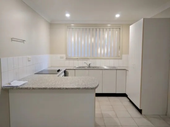 117A Minto Road, Minto, NSW 2566