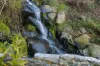 117A West Tamar Road, Trevallyn, Tas 7250-Image