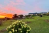 118-124 Tiatukia Drive, Tiatukia, SA 5607-Image