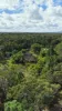 118 Arnolds Road, Byfield, Qld 4703-Image