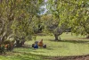 118 Beacon Road, Tamborine Mountain, Qld 4272-Image