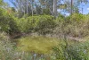118 Beacon Road, Tamborine Mountain, Qld 4272-Image