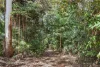 118 Beacon Road, Tamborine Mountain, Qld 4272-Image