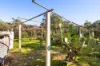 118 Caponi Road, Barragup, WA 6209-Image