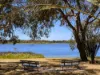 118 Holbeck Street, Doubleview, WA 6018-Image