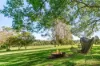 118 Lone Hand Road, Eumundi, Qld 4562-Image