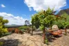 118 Park Avenue, Yandoit, Vic 3461-Image