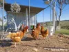 118 Samuel Way, The Lagoon, NSW 2795-Image