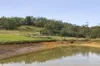 1180 Daylesford - Malmsbury Road, Denver, Vic 3461-Image