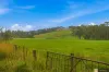 1180 Wallan-Whittlesea Road, Upper Plenty, Vic 3756-Image